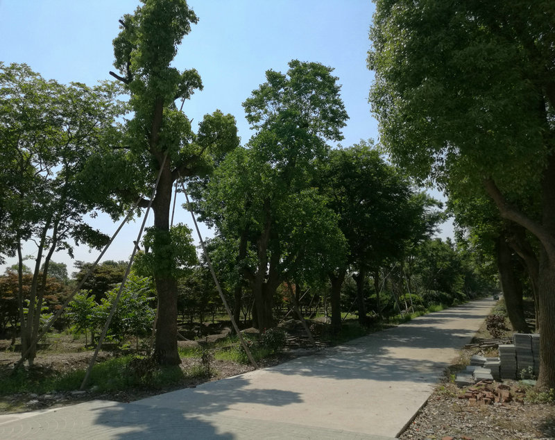 &#22810;&#23453;&#22312;&#32447;&#45;&#22810;&#23453;&#22312;&#32447;&#65288;&#20013;&#22269;&#65289;