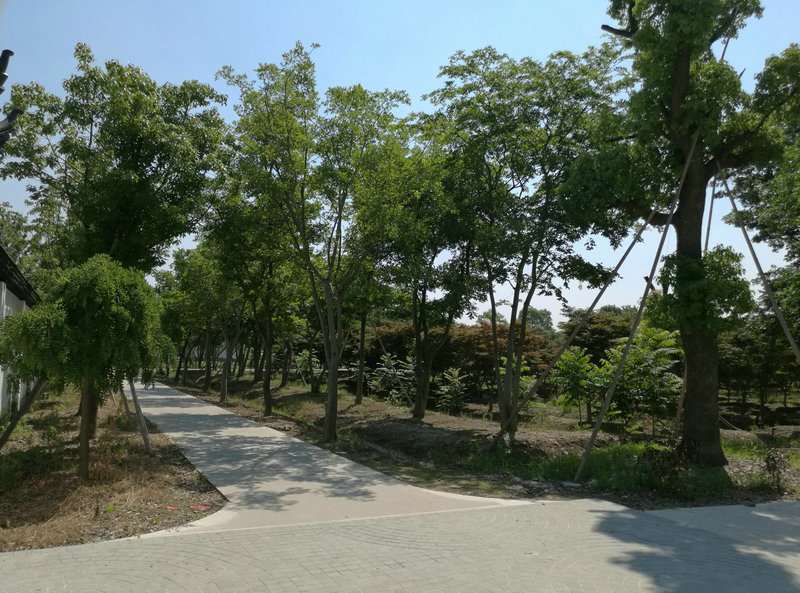 &#22810;&#23453;&#22312;&#32447;&#45;&#22810;&#23453;&#22312;&#32447;&#65288;&#20013;&#22269;&#65289;